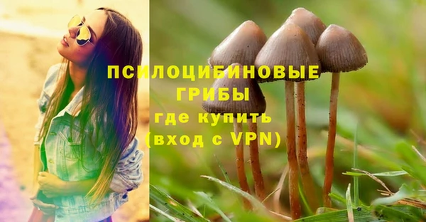 прущие крисы Аркадак