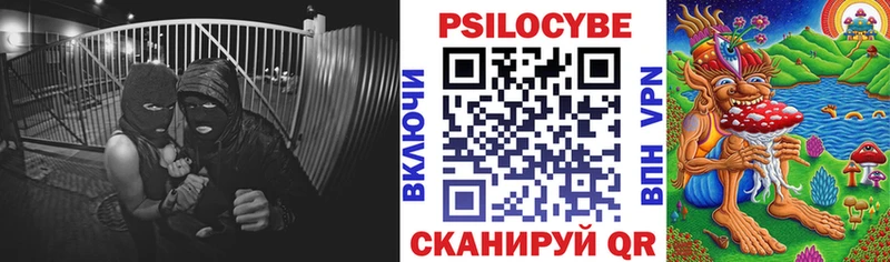 Псилоцибиновые грибы Magic Shrooms  купить  цена  Светлый 